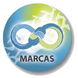 inicio Tenemos marcas reconocidas