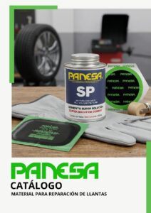 inicio portada panesa